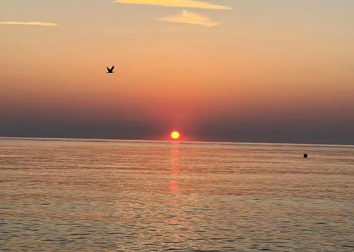 Complex Relax Pomorie All Inclusive Otel Ahyolu